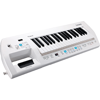 Roland Lucina AX-09 Skin, Decals, Covers & Stickers. Buy custom