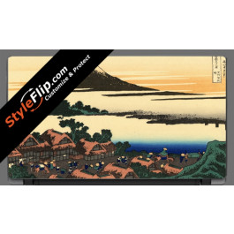 Fuji Acer Aspire V5 11.6